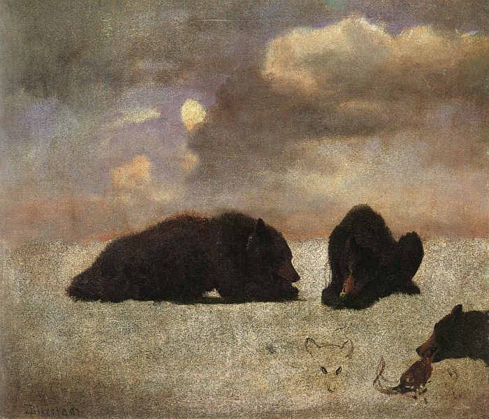 Grizzly Bears